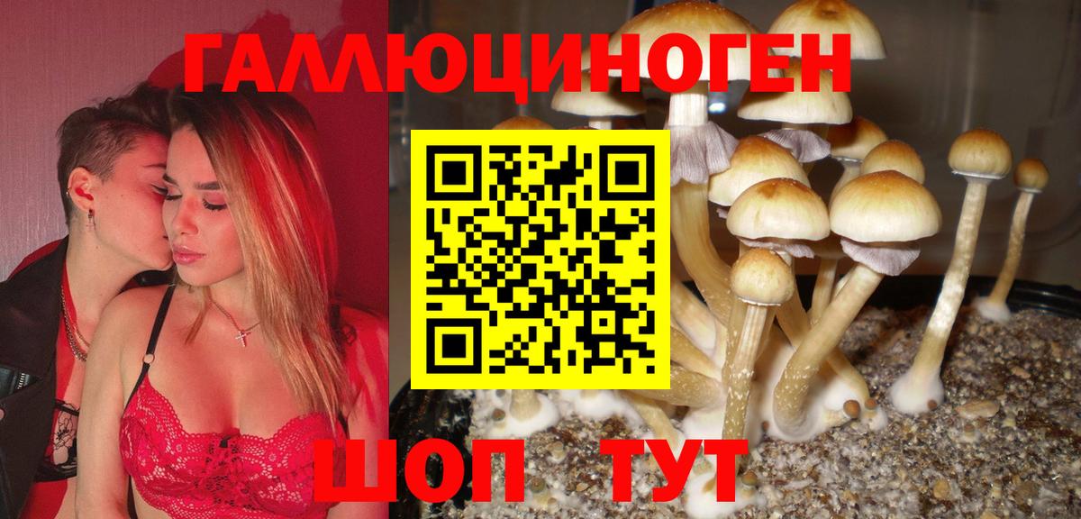 Псилоцибиновые грибы MAGIC MUSHROOMS Димитровград