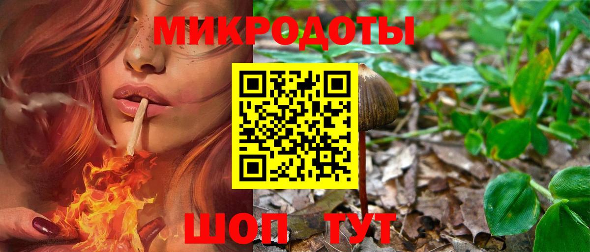 Галлюциногенные грибы MAGIC MUSHROOMS  Галлюциногенные грибы прущие грибы  Вход с VPN  Димитровград 